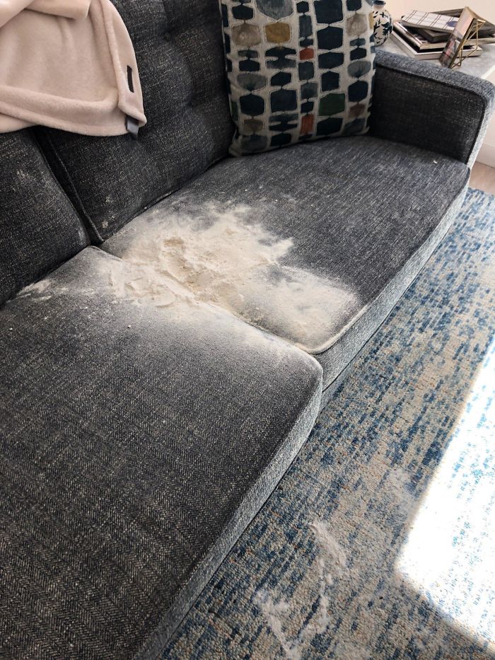We Have Had This Couch For Less Than 24 Hours. The Dog Decided To Open A Bag Of Flour On It Today