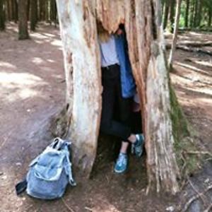 vilka_shpilka avatar