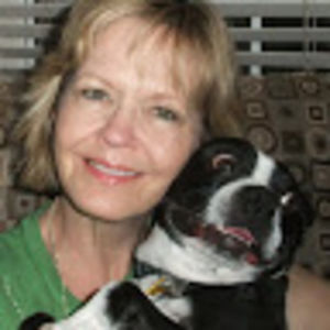 katherineshoecraft avatar