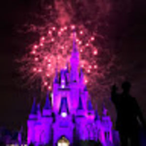 shalinipabreja avatar