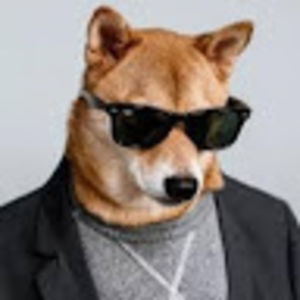 payveenzebary avatar