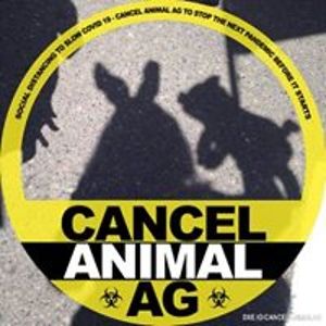 voraciousbodacious avatar