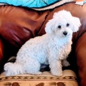 childofthesun51 avatar