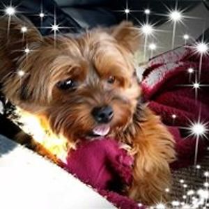 roberta_langston avatar