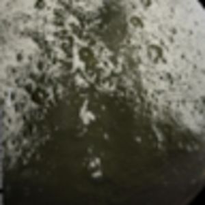 serenityabbott avatar