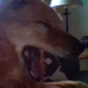 studentmadisynmerry avatar