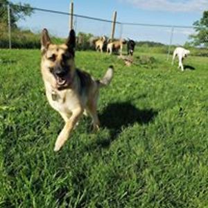 abby_taylor041 avatar