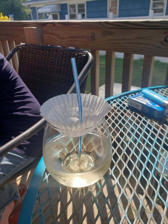 Keep Flies Out Of Your Wine