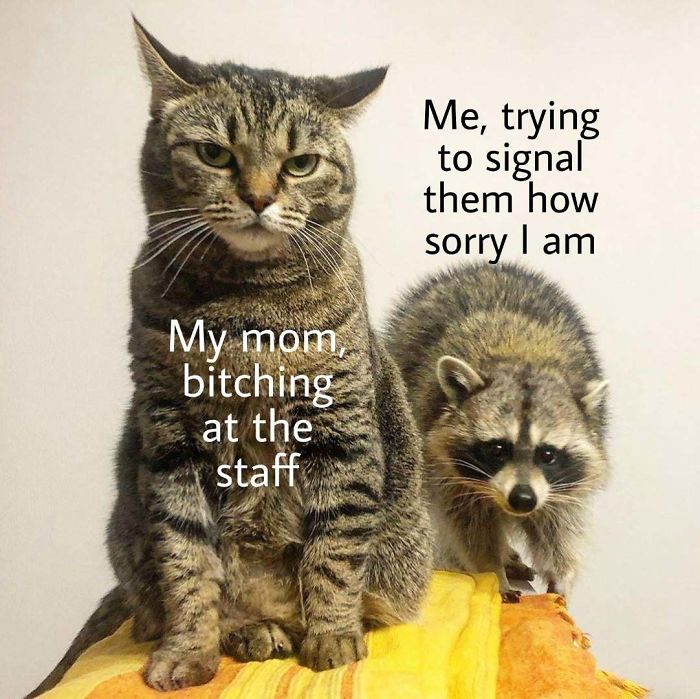 We Have All Been Through This