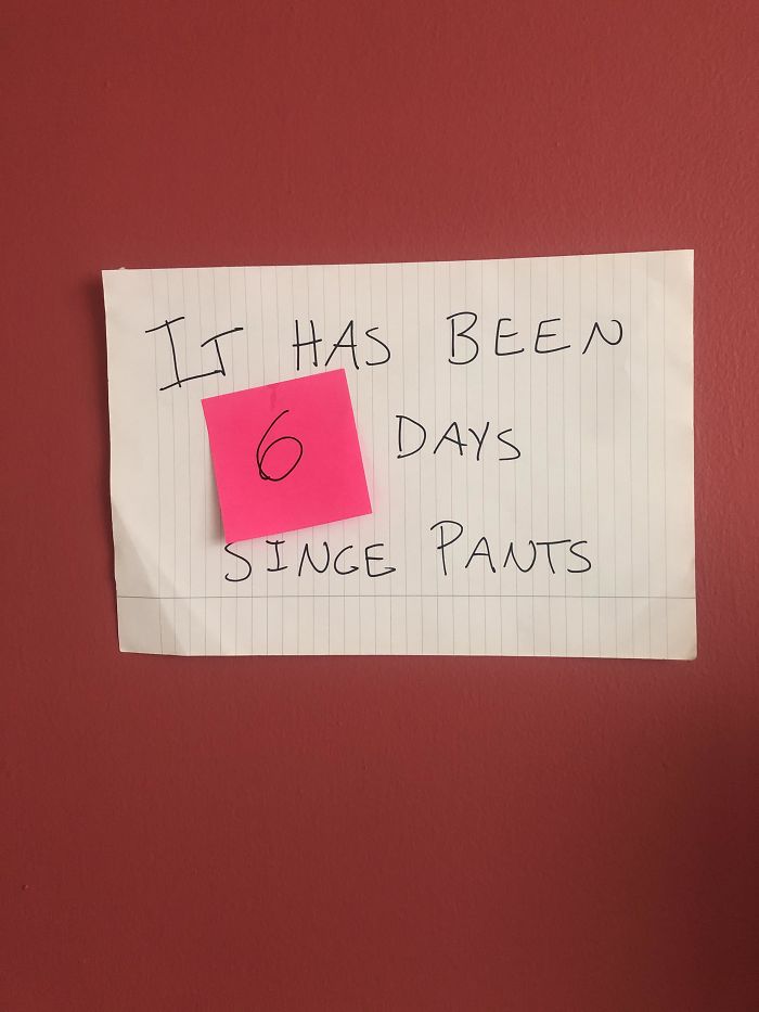 Days Since Pants