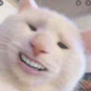 caidenwildeman avatar