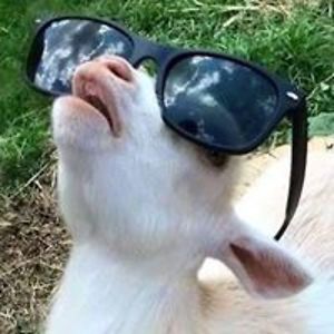 daralynn_dehnicke avatar