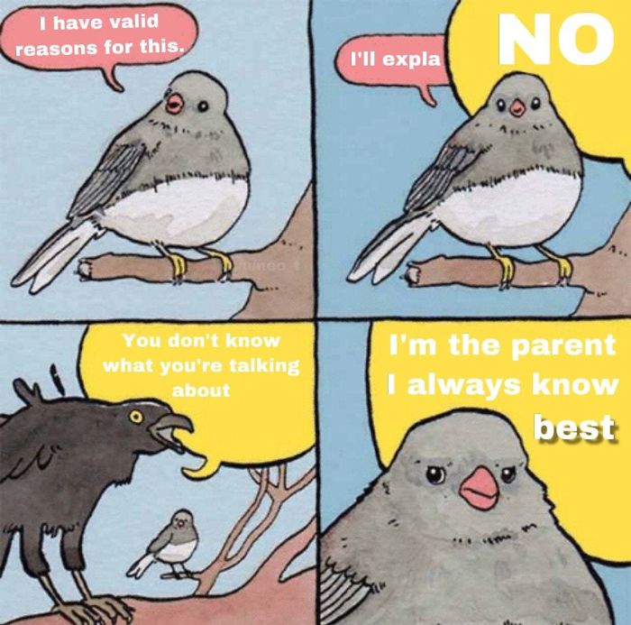 Sometimes (Or Most Of The Time For Some) They Know Least