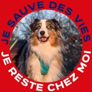 Frédérique Laroyenne