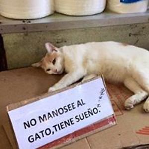 afetaworsethandeath avatar