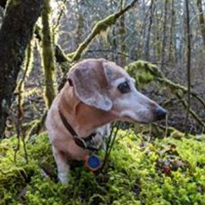 penny1ruthruff avatar