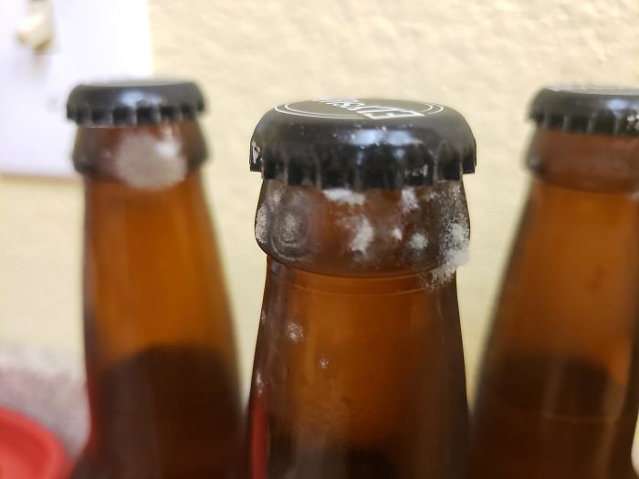 Went Out To Buy Groceries And Beer. Got Home, Had A Couple, They Tasted Funny. Looked Closer, Realized They Had Little Mold Cities Floating Around Inside