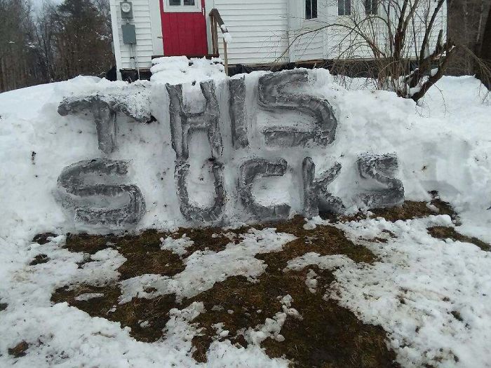 In Quarantine Got A Foot Of Wet Heavy Snow. No Power. No Heat. Generator Won't Start