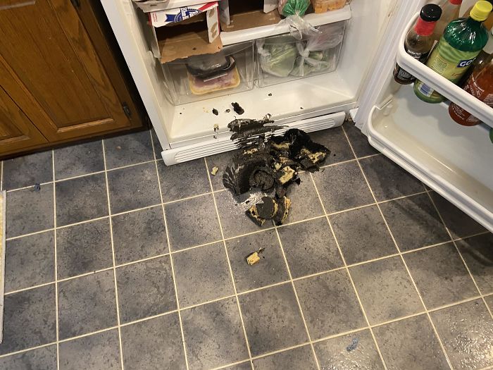 I Spent Over 4 Hours Baking A Cake Only To Immediately Drop It