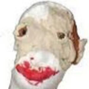 kaydensalcedo avatar