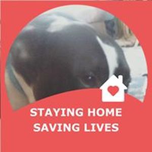 dragonlady222 avatar