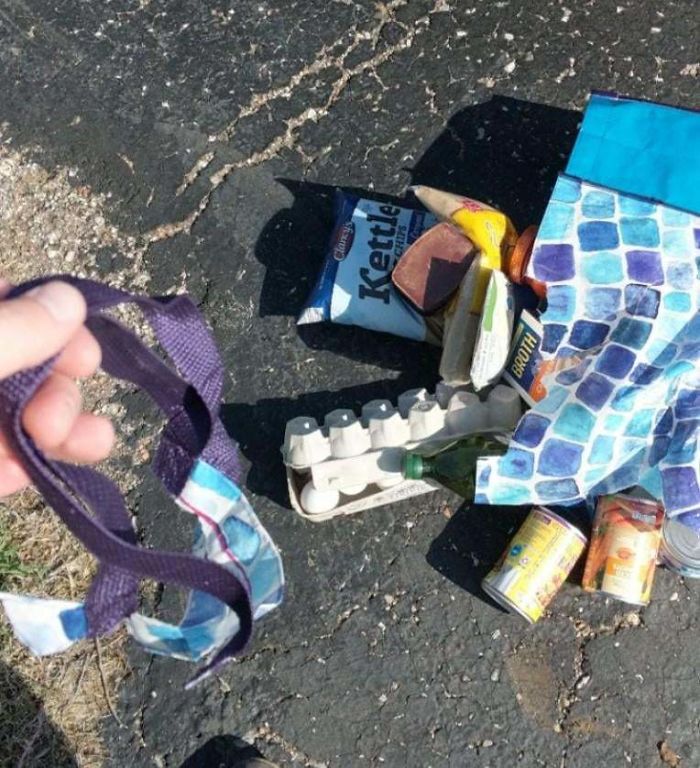 Bringing In The Groceries 