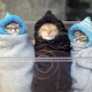 raelynkutanzi avatar