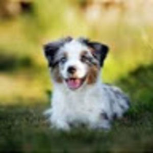 annabelmurphy avatar