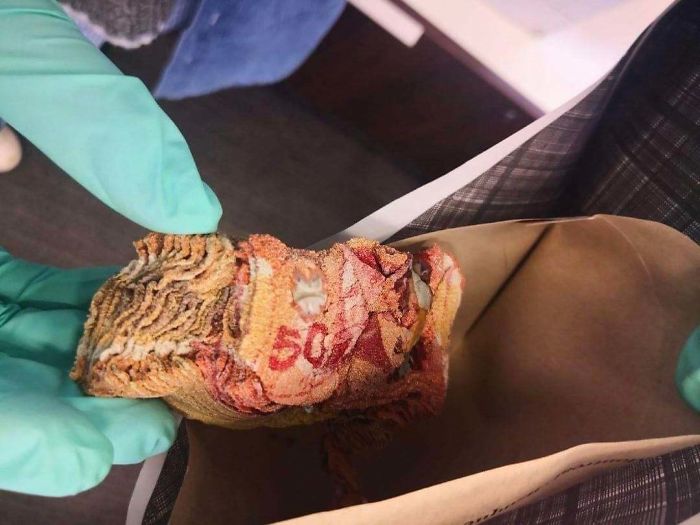 $5000 Canadian After Someone Using The Microwave To Disinfect It