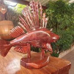 steve_gary_walker avatar