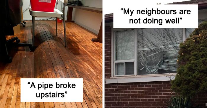 40 Photos Of People Having A Worse Quarantine Than You