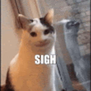 nataliewelday avatar