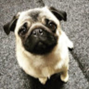 genevievepacoe_1 avatar