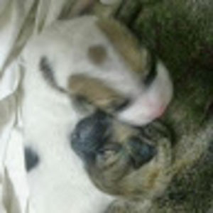 funnylikethat avatar