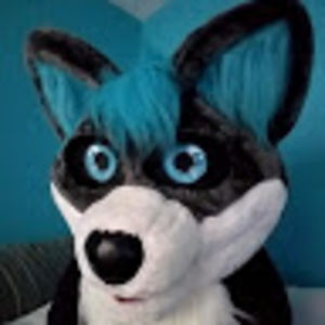 skullthewizardwolf avatar