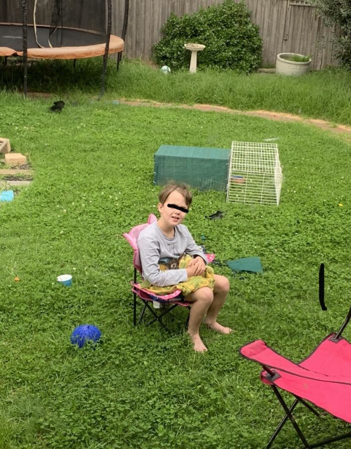 My Son, 8, Who Happens To Have Autism Got A Bunny. He Sits Outside With The Bunny For Hours. His Echolalia Stops. His Stimming Stops. He Is Calm, Focused And Happy