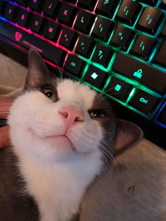 I Saved Him, But Actually He's Saving Me