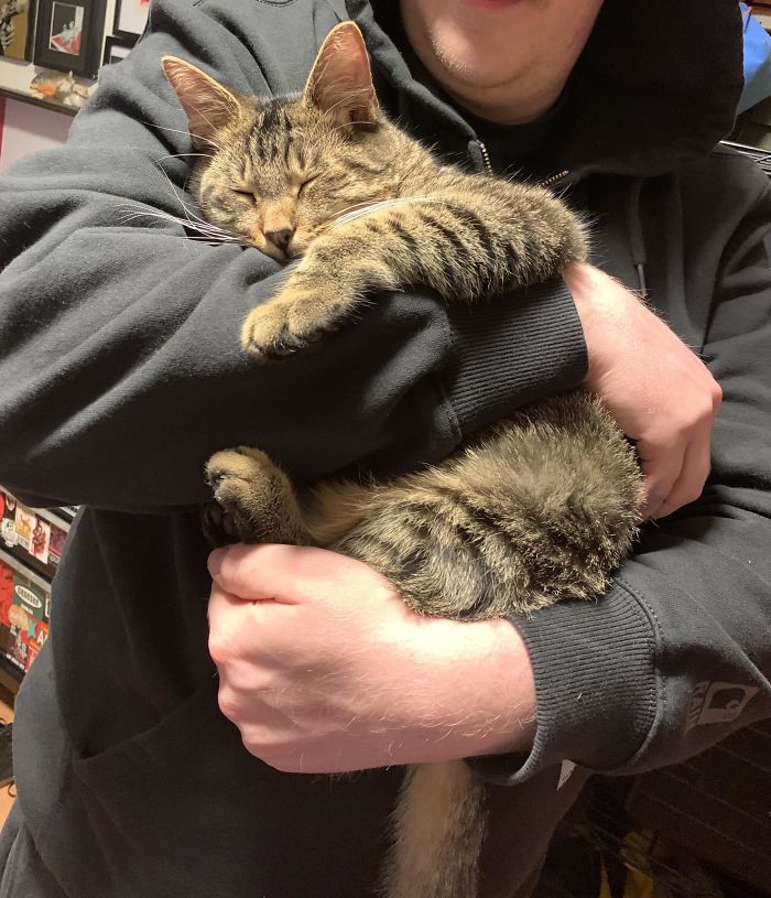 Adopted My Sweet Quarantine Kitty, Oliver, Last Week And He Has Just Started To Warm Up To Cuddles