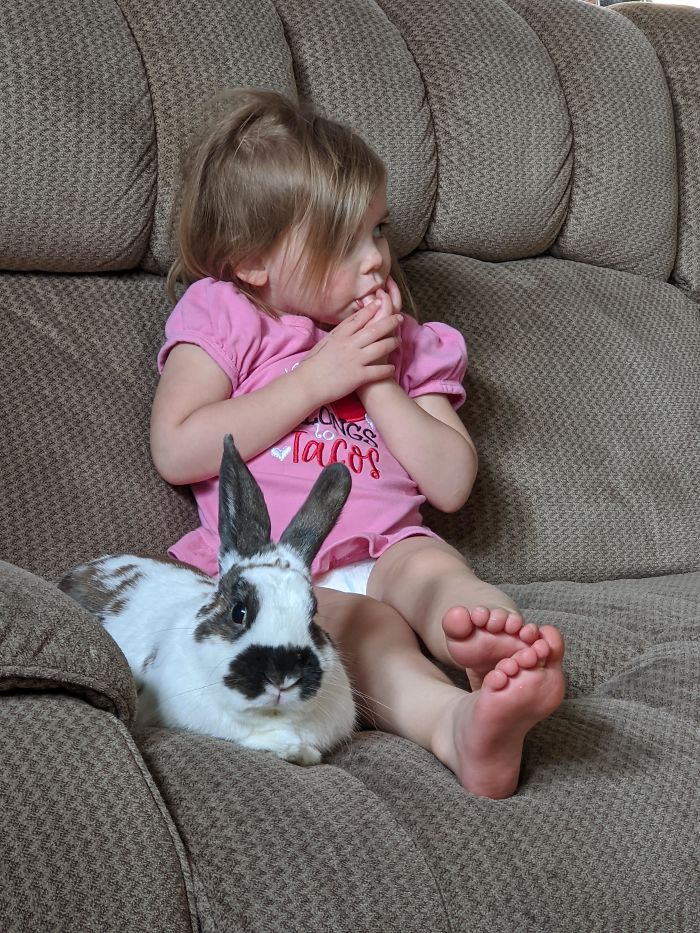 This Sweet Bun Was Adopted Recently - So Many Questions