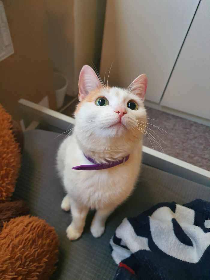 Just Adopted Bubbie, I Think She's Precious