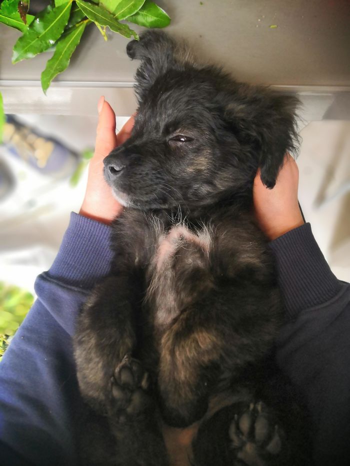 And This Is My New Girl