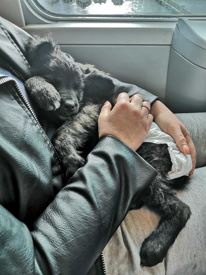 My GF Holding Our Dog The Day We Got Her