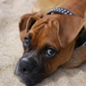 linneakeating avatar