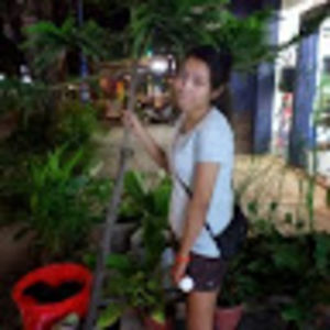 marcelinasangevany avatar