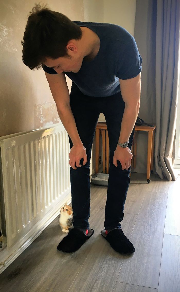 My Husband Couldn't Have Pets Growing Up. When We Bought Our First House I Got Him A Little Surprise