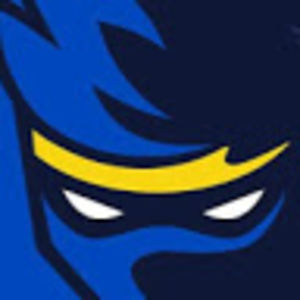 vincentlallier avatar