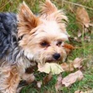 lyndie_nickel avatar