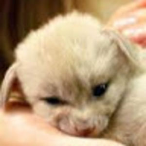 alexandrawood avatar