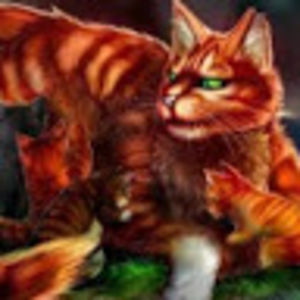 stu-madisonamos avatar