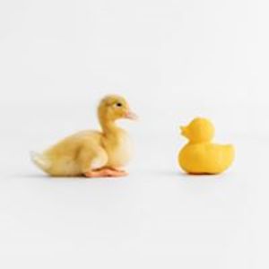 smitchell1472 avatar